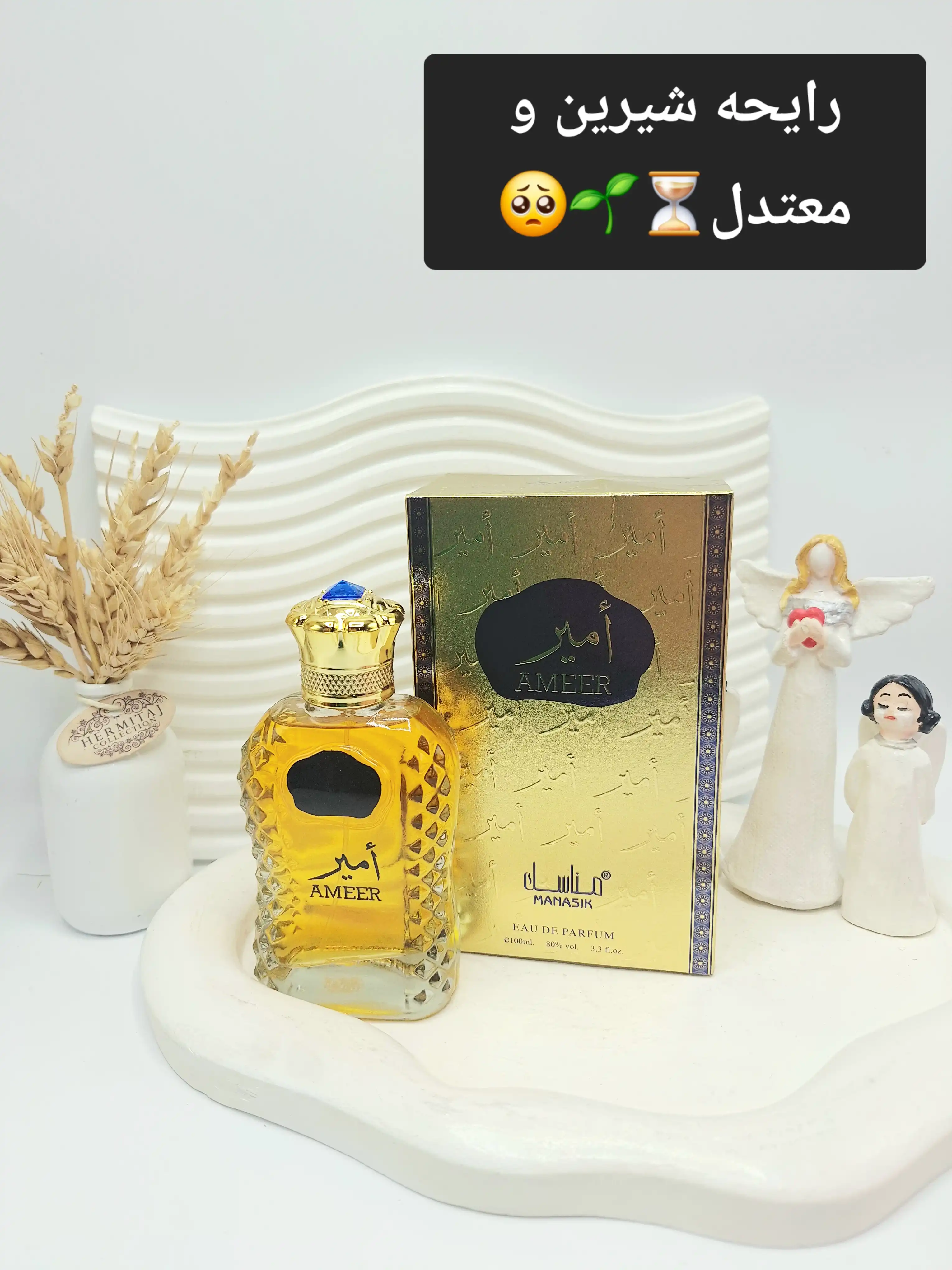 ادکلن مردانه AMEER حجم 100 میل امارات کد 4283